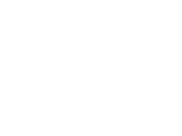 VVS FORHANDLEREN